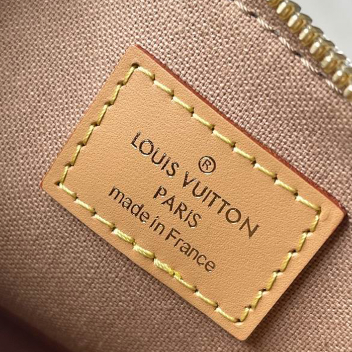 Louis Vuitton Nano Alma Other Monogram Canvas