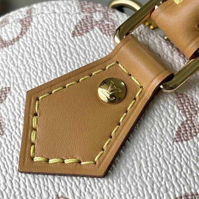 Louis Vuitton Nano Alma Bag