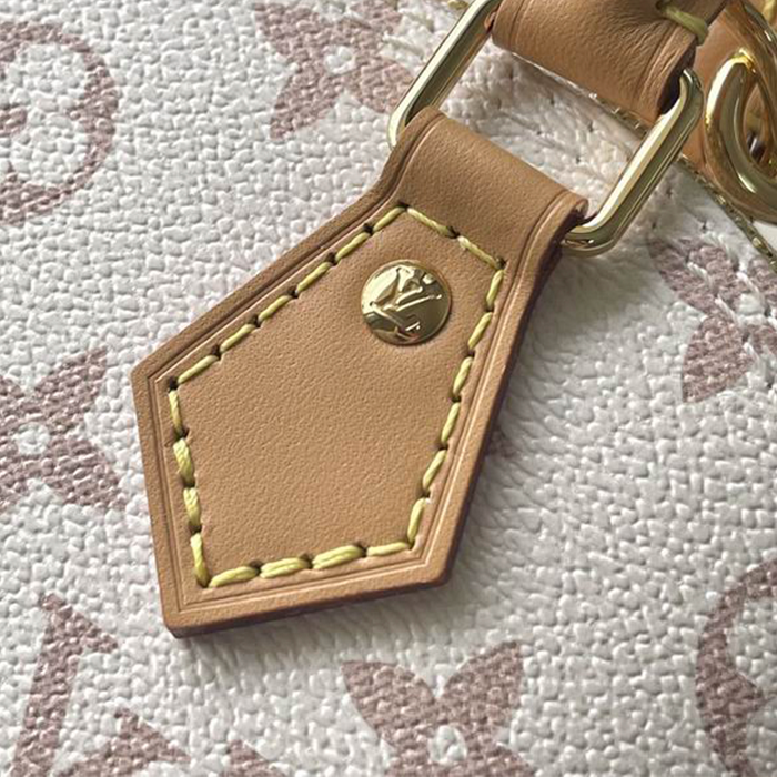 Louis Vuitton Nano Alma Other Monogram Canvas